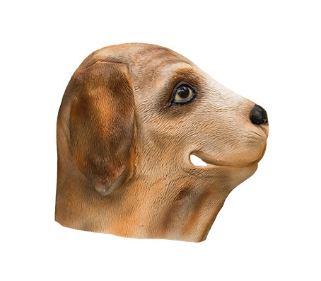 masque latex chien labrador