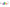 loup love parade arc en ciel rainbow