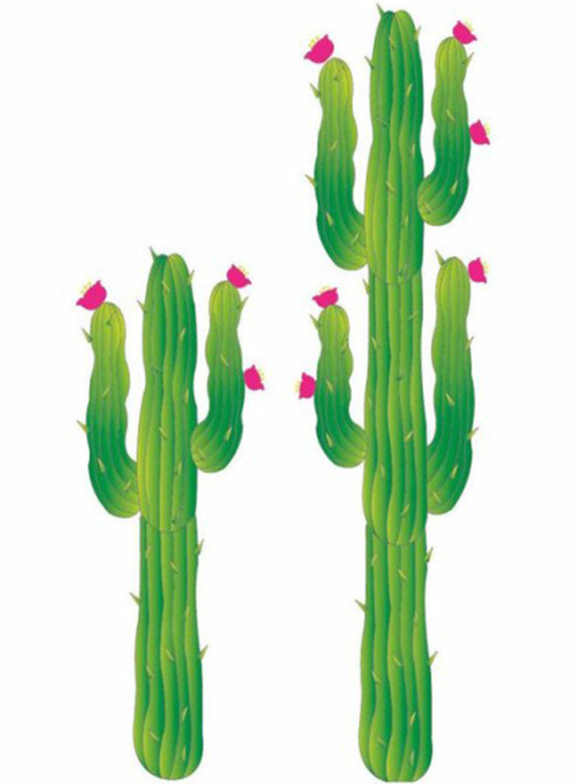 Cactus décoratif