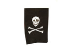 drapeau pirate à suspendre 40x60cm