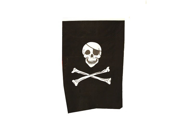 drapeau pirate à suspendre 40x60cm