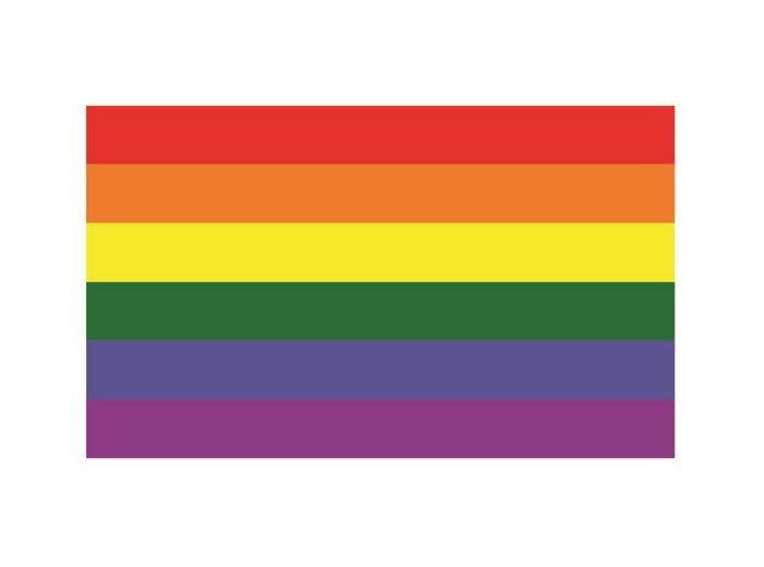 drapeau love parade arc en ciel 90x150cm