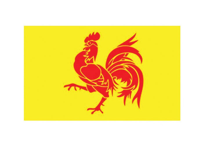 drapeau de wallonie belgique 90x150 cm