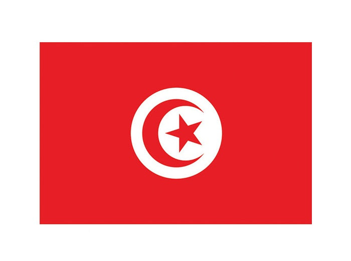 drapeau tunisie 90x150 cm