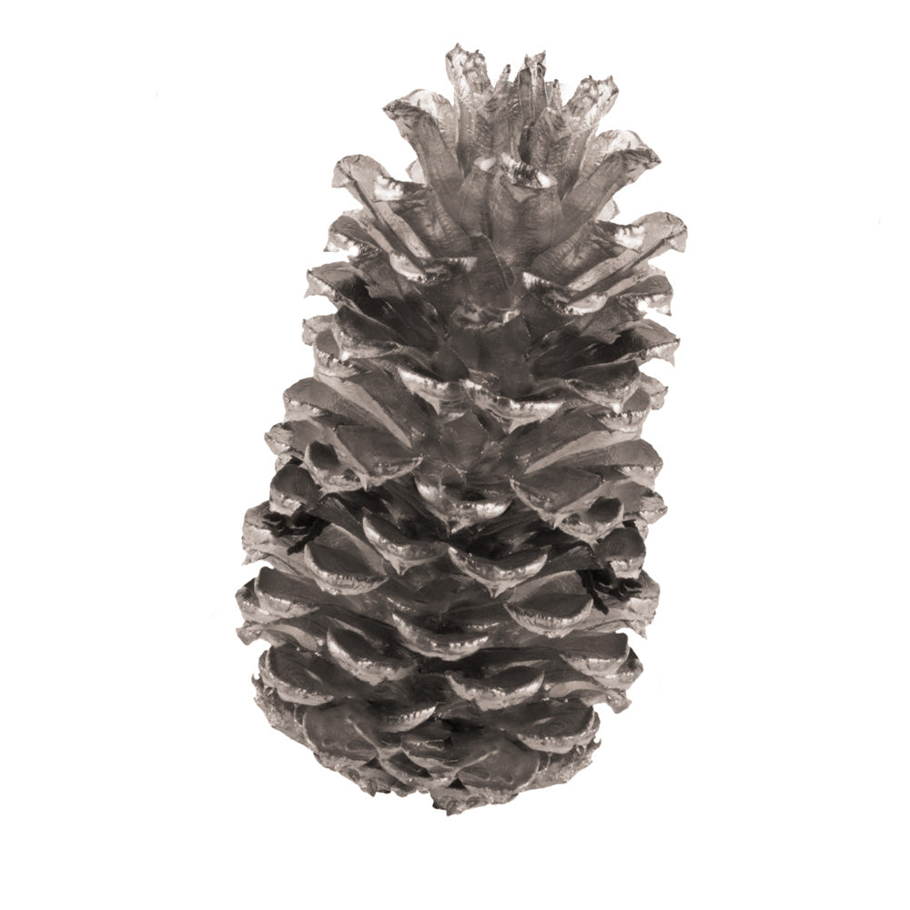 SPRAY DECO ARGENT 150ML