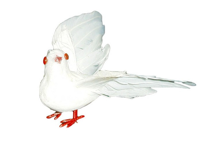 colombe avec plumes 7cm