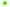 décoration ronde festonnée verte 66cm