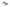 canoe bateau pneumatique hydro force rapid 2 places 3.21x1m
