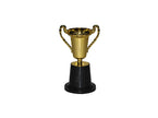 trophée coupe 14cm