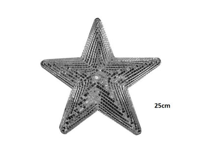 boule à facettes étoile argent 25cm