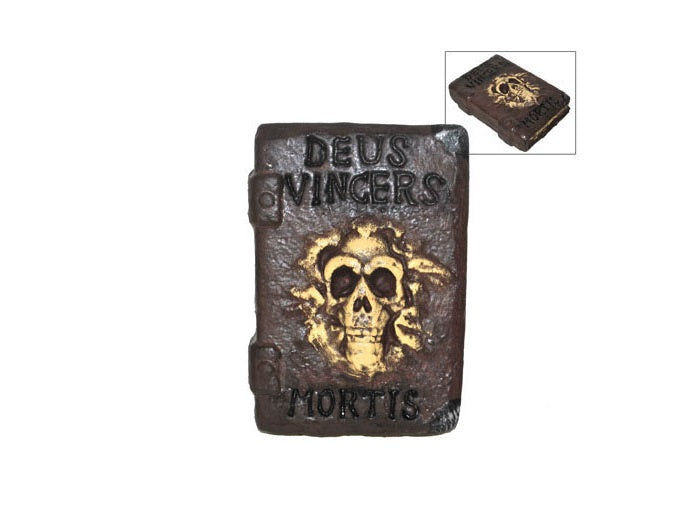 grimoire magique 30x21cm