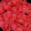 lot avec 100 pétales de roses rouge