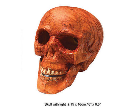 crâne lumineux à poser 16cm
