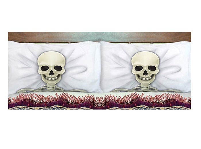 lot de 2 taies d''oreiller ou coussin squelettes 53x81cm