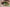 lentilles de contact cosplay magicien vert 1 jour