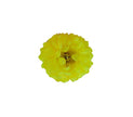 clip fleur neon fluo jaune