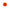 clip fleur neon fluo orange