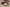 lentilles de contact cosplay revenant blanc 1 jour