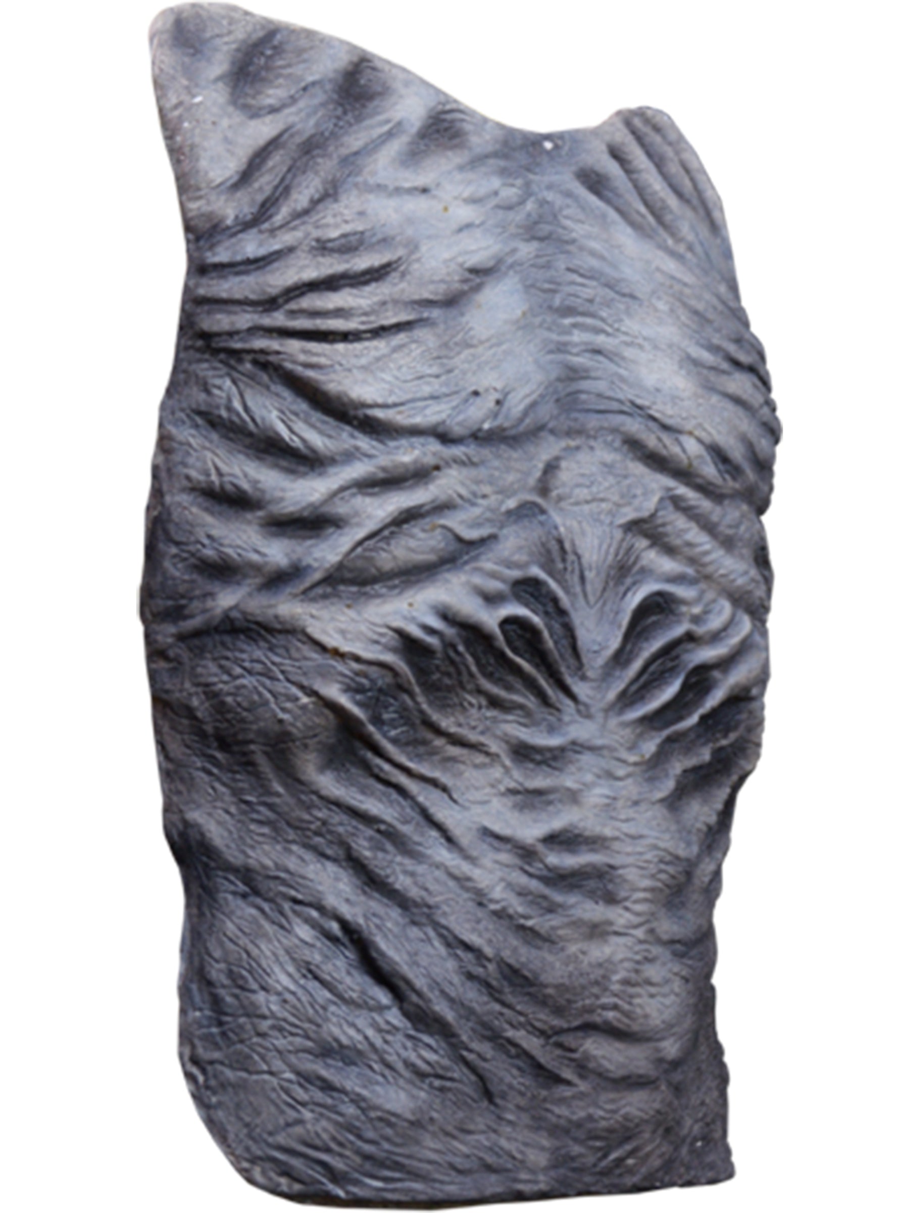 Prothèse poitrine Marcheur Blanc - Game of Thrones