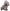 Déguisement dinosaure Tricératops gonflable adulte - Jurassic World