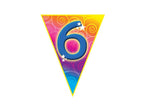 guirlande 10 fanions 6 5m