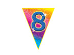 guirlande 10 fanions 8 5m
