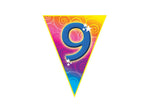 guirlande 10 fanions 9 5m