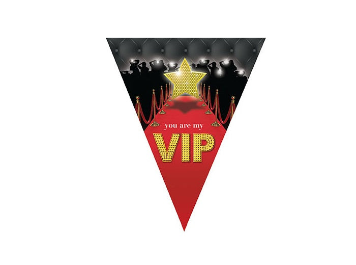 guirlande 10 fanions v.i.p 5m