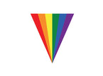 guirlande fanions arc en ciel 5m