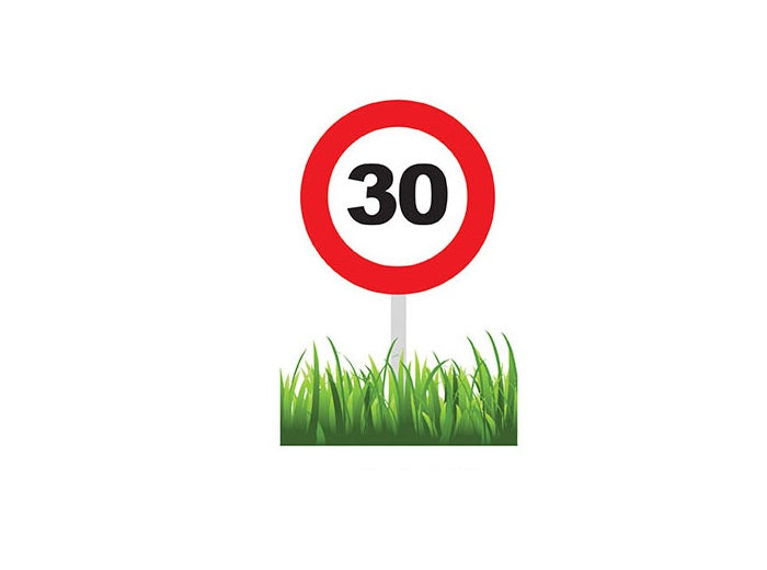 panneau de décoration limitation 30 ans 35cm