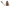 Fouet de Streap teaser