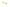 FAUX CILS NEON VERT
