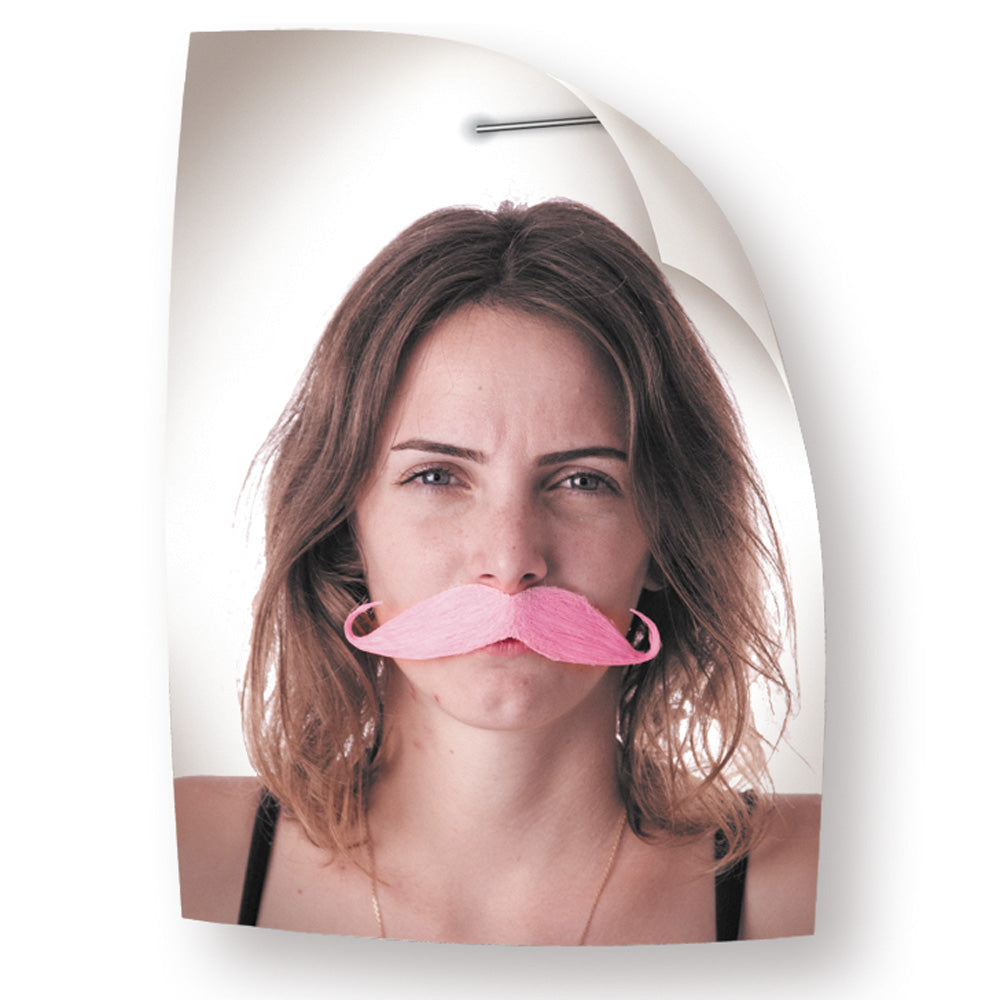 MOUSTACHE ARISTO ROSE