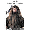 PERRUQUE ET BARBE VICKING