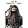 PERRUQUE ET BARBE VICKING