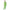 COSTUME FASHION NEON VERT
