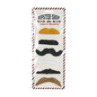 MOUSTACHE PARTY (SET DE 6 MOUSTACHES ASSORTIES)