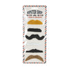 MOUSTACHE PARTY (SET DE 6 MOUSTACHES ASSORTIES)