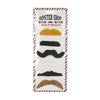 MOUSTACHE PARTY (SET DE 6 MOUSTACHES ASSORTIES)