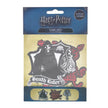 Pack de 3 écussons Harry Potter Magie Noire