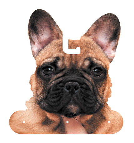 COSTUME SUPER HEROS POUR CHIEN