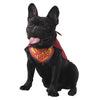 COSTUME SUPER HEROS POUR CHIEN