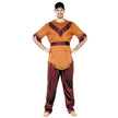 COSTUME INDIEN