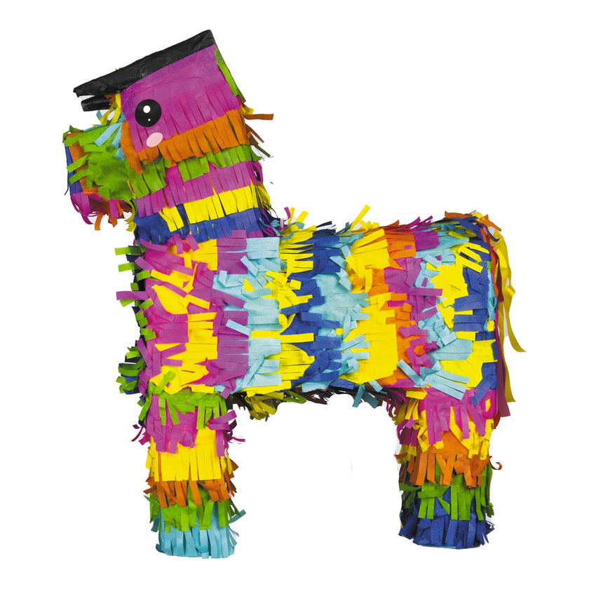 PINATA ANE