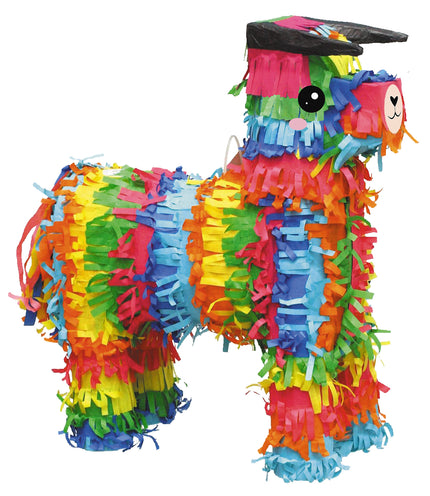 PINATA ANE
