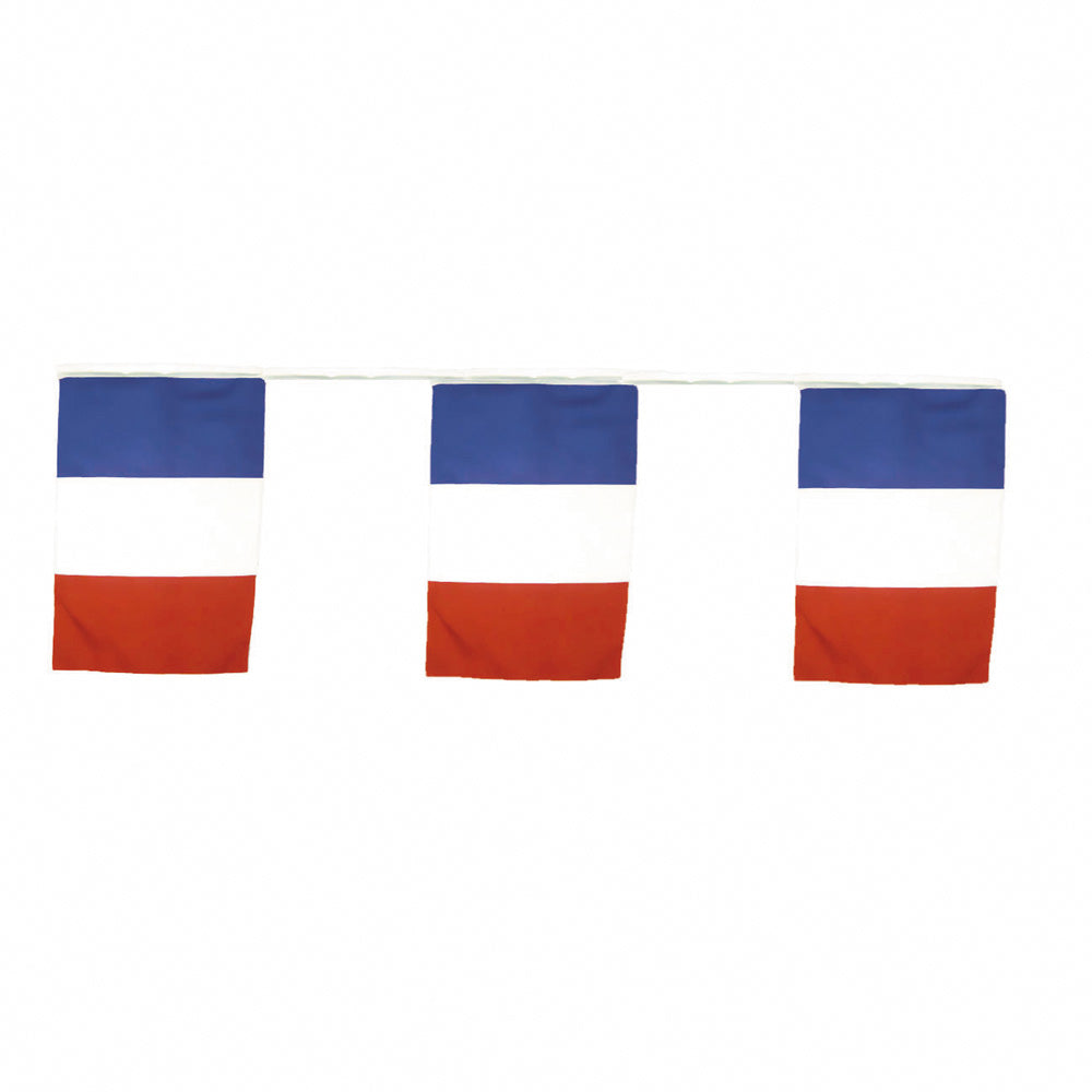 GUIRLANDE DRAPEAUX TRICOLORE 10M