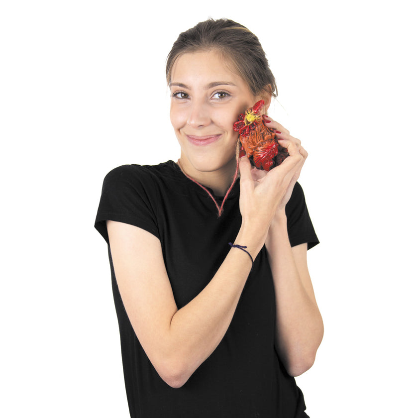 COLLIER COQ DECAPITE