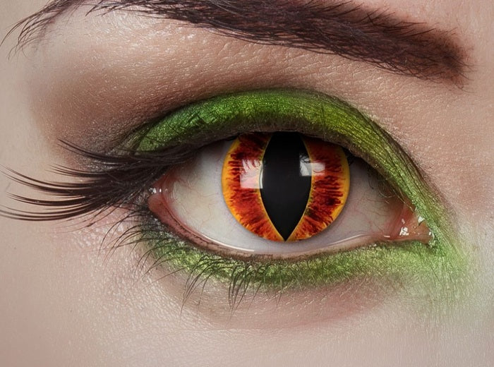 lentilles de contact loup tigre animal sauvage dore 1 jour