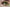 lentilles de contact vipère alien vert jaune 1 jour