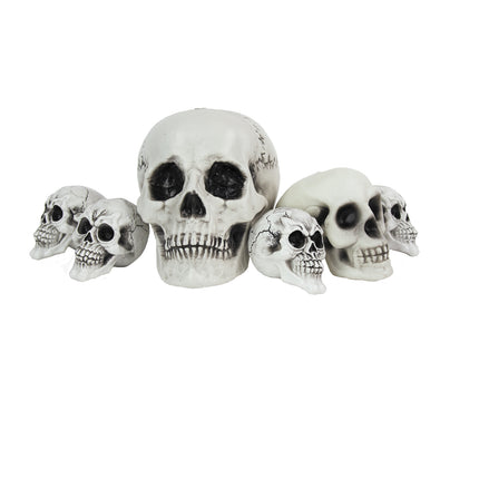 FILET DE 6 TETES DE MORT ASSORTIES